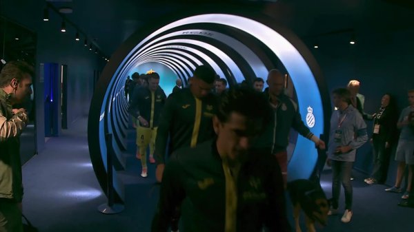 鼓舞宠物领养！西班经纪东说念主球员赛前带着11只狗狗入场